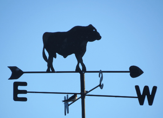 coffee shop at Broom House