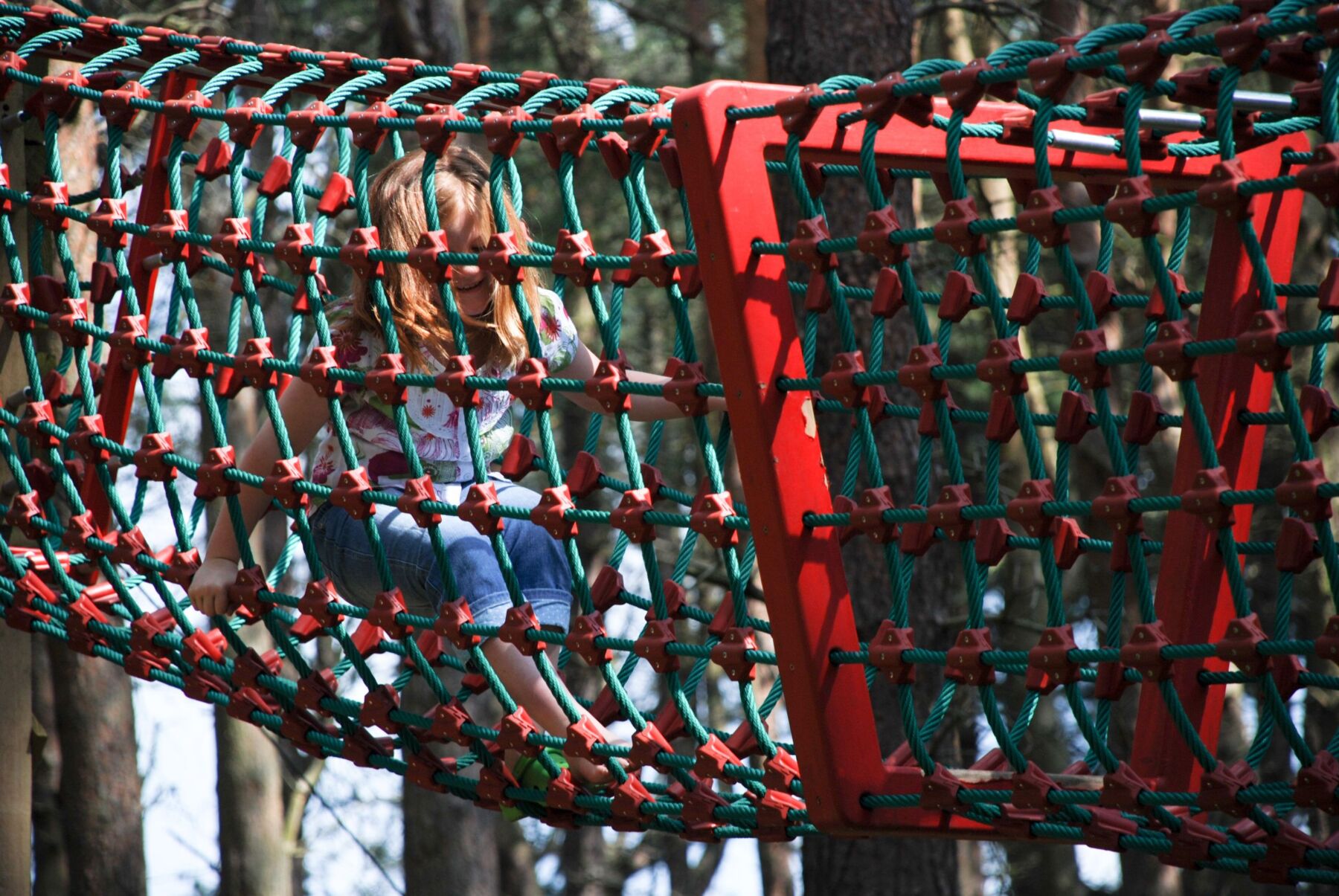 DSC_0161 Forest Adventure