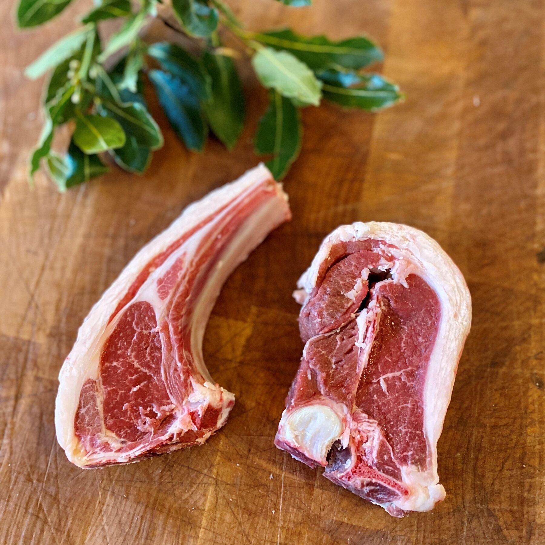 mutton chop Mutton Chops