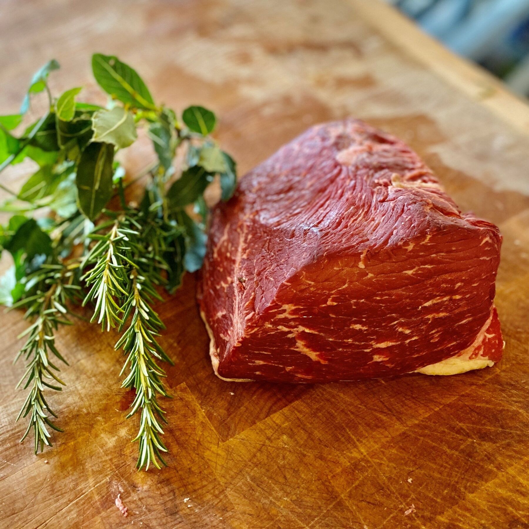 silverside Silverside