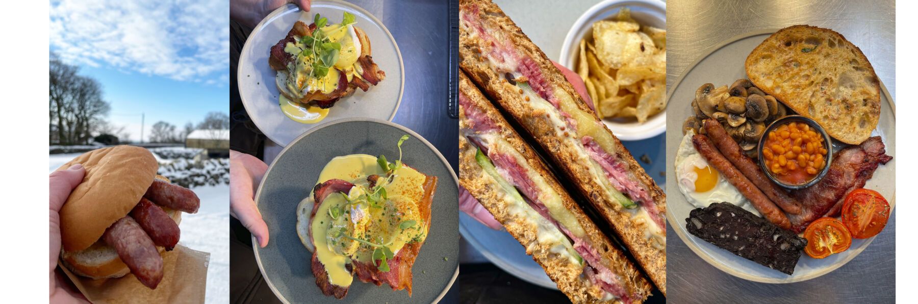 symbiotic relationship