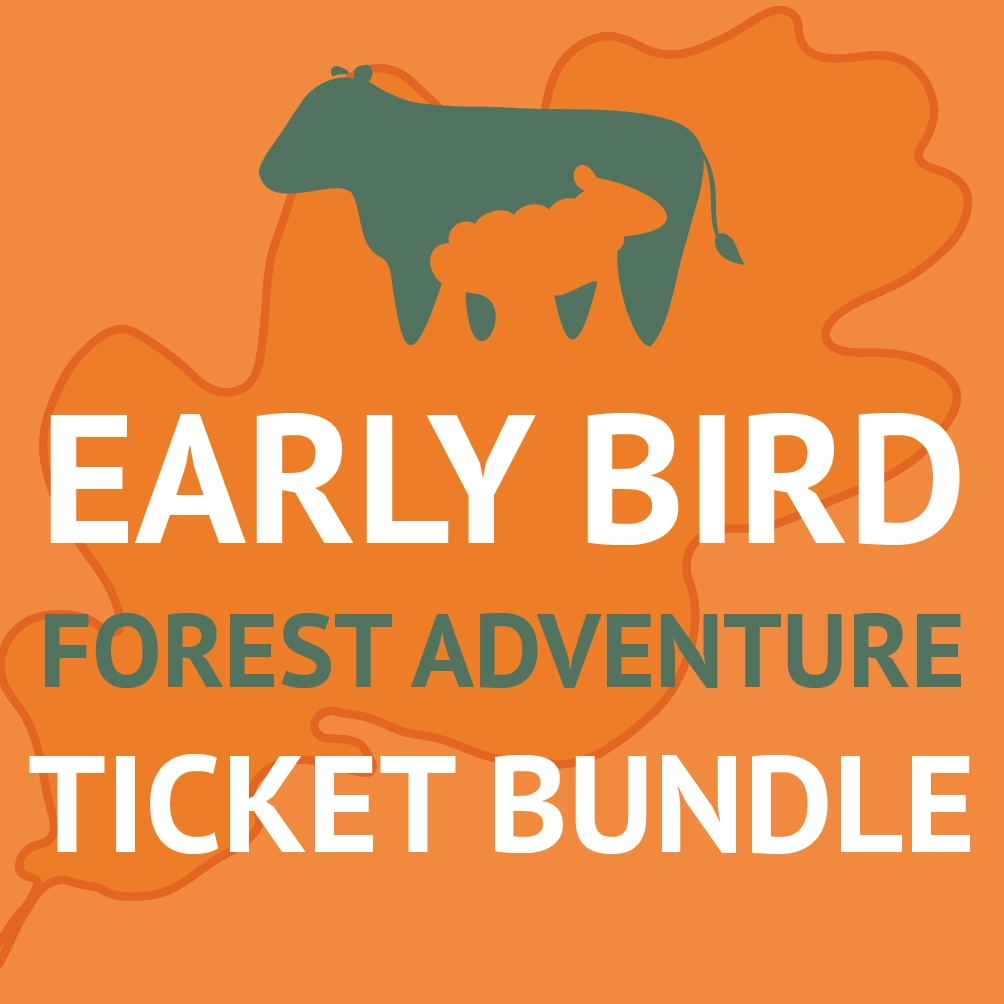 Adventure Bundle Graphic Adventure Bundle Graphic